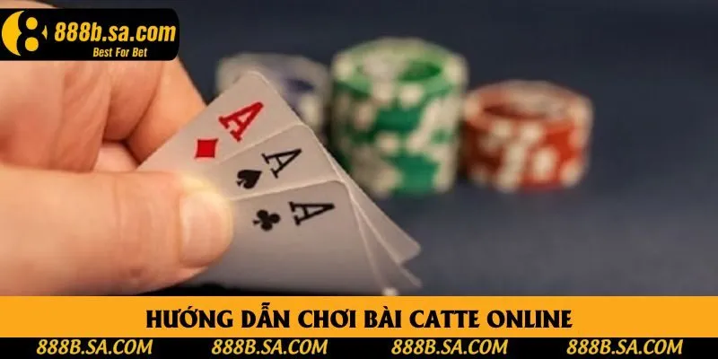 Hướng dẫn chơi bài catte online Hướng dẫn chơi bài catte online