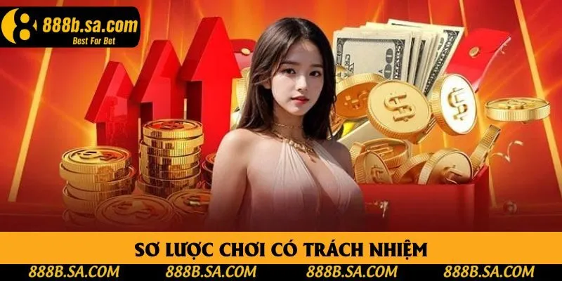 Sơ lược chơi có trách nhiệm Sơ lược chơi có trách nhiệm
