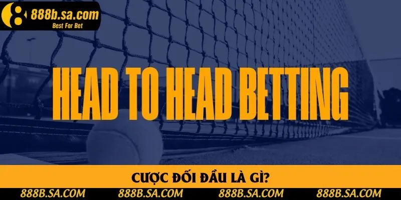 Cược Đối Đầu Là Gì? Giải Đáp Những Khúc Mắc Của Người Mới