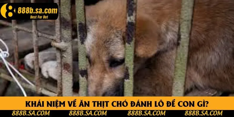 Khái niệm về ăn thịt chó đánh lô đề con gì? Khái niệm về ăn thịt chó đánh lô đề con gì?