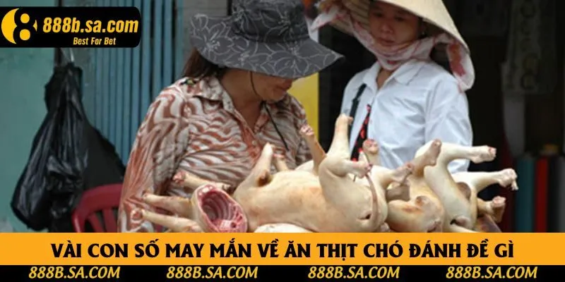 Vài con số may mắn về ăn thịt chó đánh đề gì Vài con số may mắn về ăn thịt chó đánh đề gì